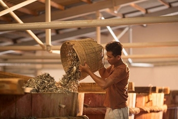 Kiên Giang: Nghề làm nước mắm ở Phú Quốc trở thành di sản văn hóa phi vật thể quốc gia