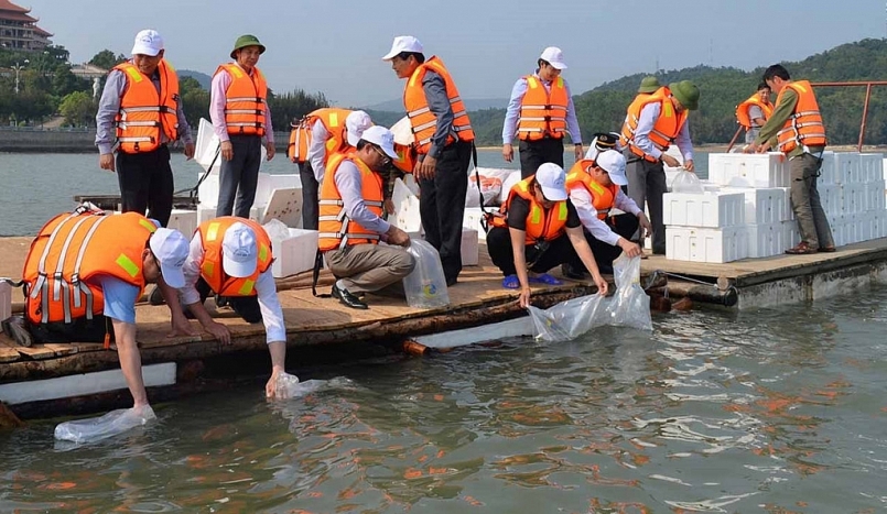 Có thể khẳng định, phát triển nghề nuôi trồng thủy sản và sản xuất cung ứng giống thuỷ sản ra thị trường là lợi thế của Quảng Ninh