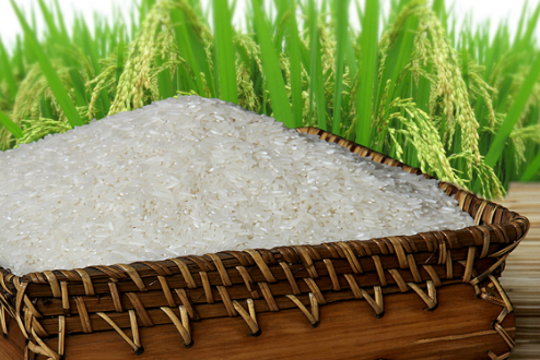 Cập nhật giá lúa gạo hôm nay 27/4/2022: Thị trường chững lại