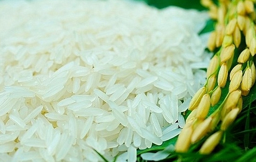 Cập nhật giá lúa gạo hôm nay 3/5/2022: Chưa xuất hiện điều chỉnh mới