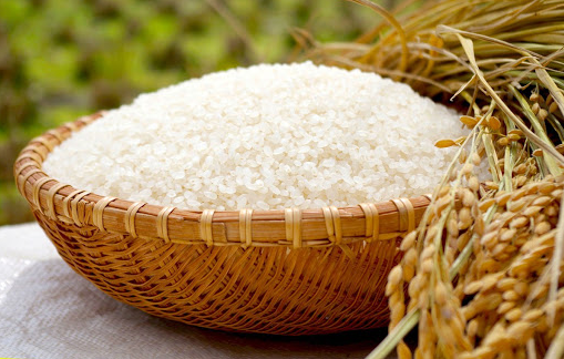 Cập nhật giá lúa gạo hôm nay 18/5/2022: Không có biến động
