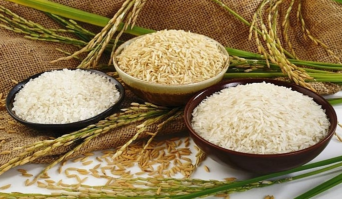 Cập nhật giá lúa gạo hôm nay 2/6/2022: Thị trường chững lại