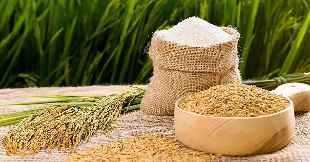 Cập nhật giá lúa gạo hôm nay 7/6/2022: Giá gạo nguyên liệu tiếp đà tăng