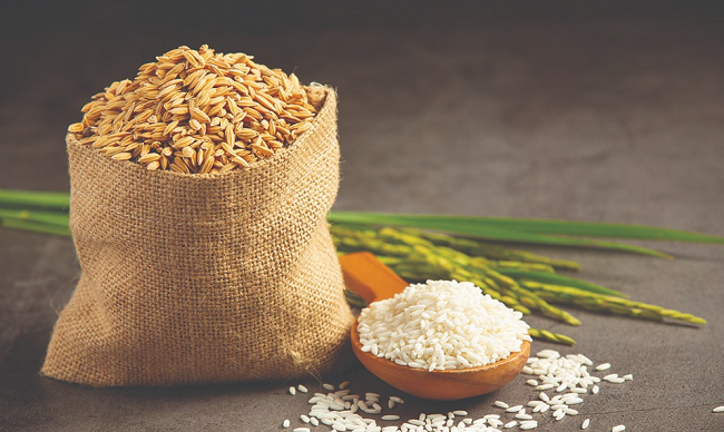 Cập nhật giá lúa gạo hôm nay 18/6/2022: Giá gạo giảm 50 đồng/kg