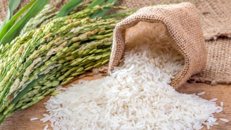 Giá lúa gạo hôm nay 23/6/2022: Giá gạo tăng 100 đồng/kg