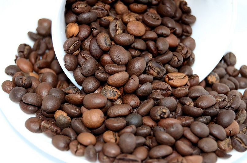 Giá cà phê hôm nay 13/1: Mất thêm 300 đồng/kg
