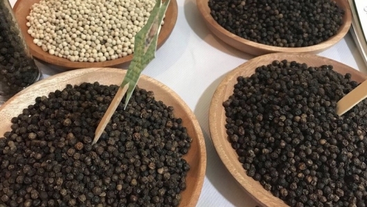Xuất khẩu hồ tiêu: Bộ Công thương dự báo khả quan