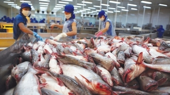 Tháng 11, xuất khẩu thuỷ sản đạt 868 triệu USD