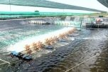 Quảng Ninh: Đẩy mạnh ứng dụng khoa học công nghệ trong nuôi trồng thủy sản