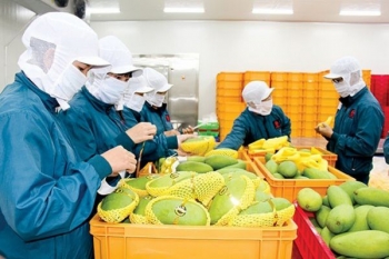 6 tháng đầu năm 2020, xuất khẩu rau quả tăng mạnh ở một số thị trường