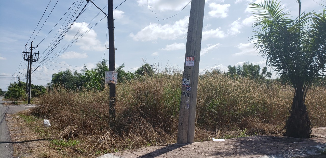 Nhiều khu đất phân lô được quảng cáo là khu dân cư tại Đồng Nai