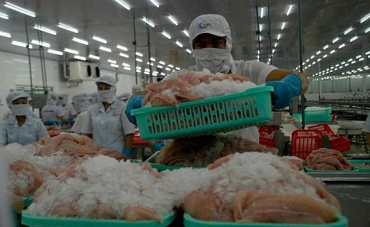 Hỗ trợ doanh nghiệp thủy sản xuất tiến thương mại khôi phục kinh tế