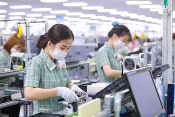 TP. HCM: Cục Thuế tập trung đẩy mạnh hóa đơn điện tử